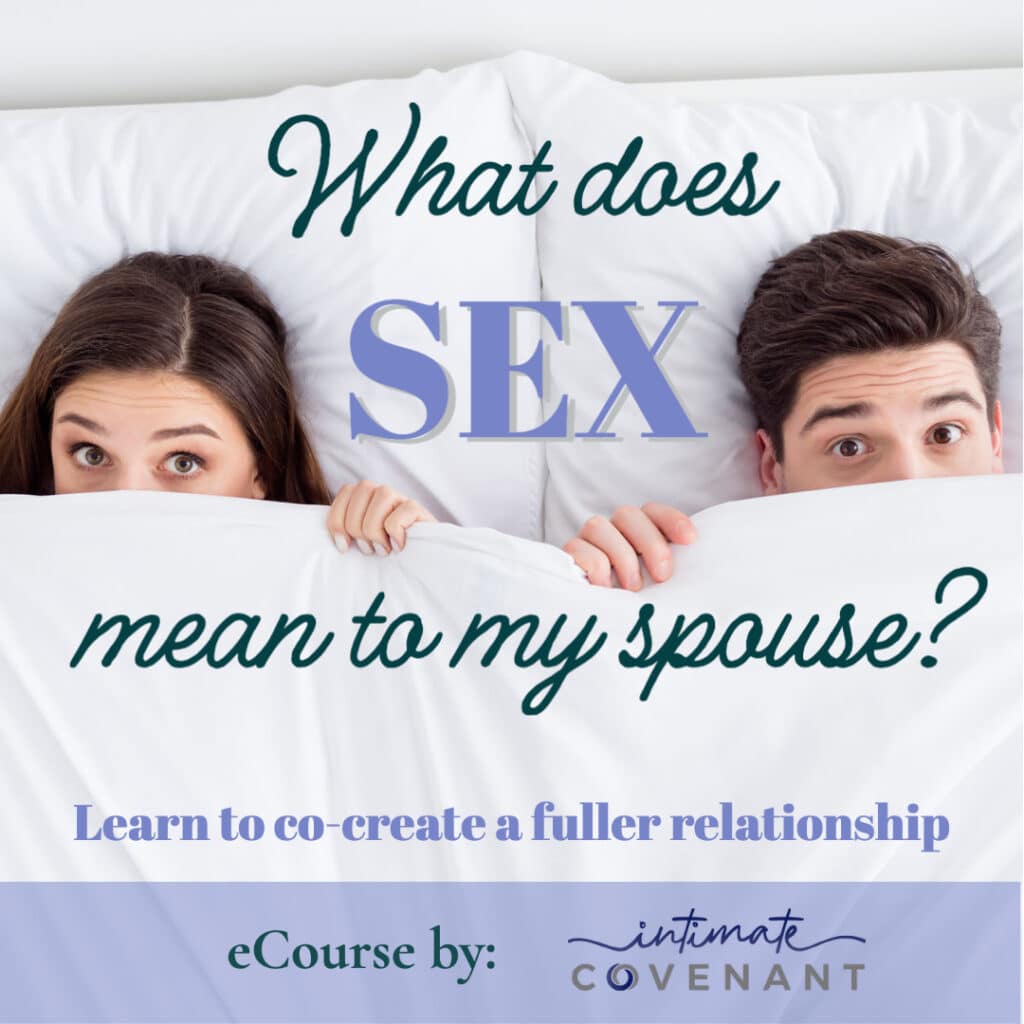 Ecourse What Does Sex Mean To My Spouse Intimate Covenant 4174