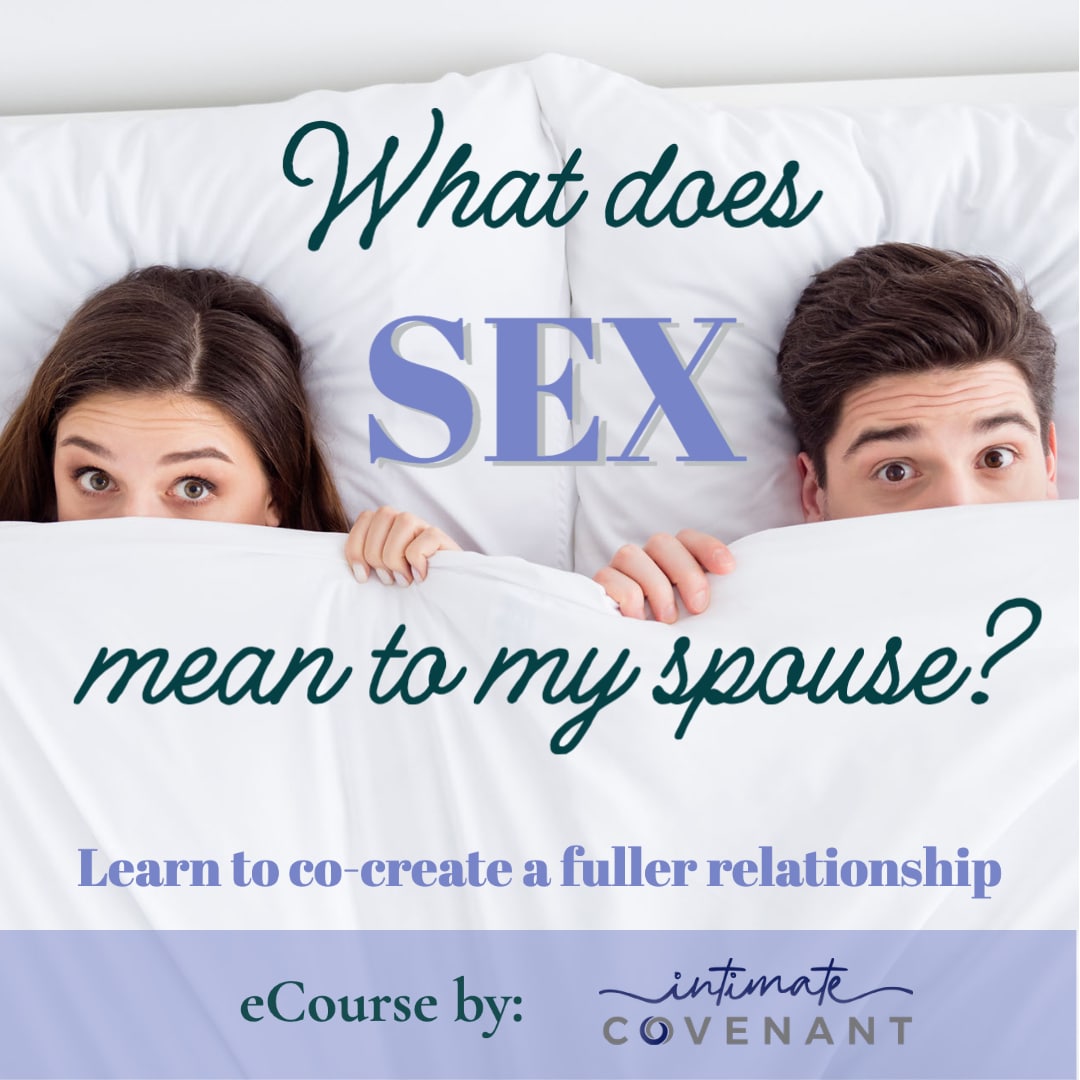 eCourse - What Does Sex Mean To My Spouse? picture image